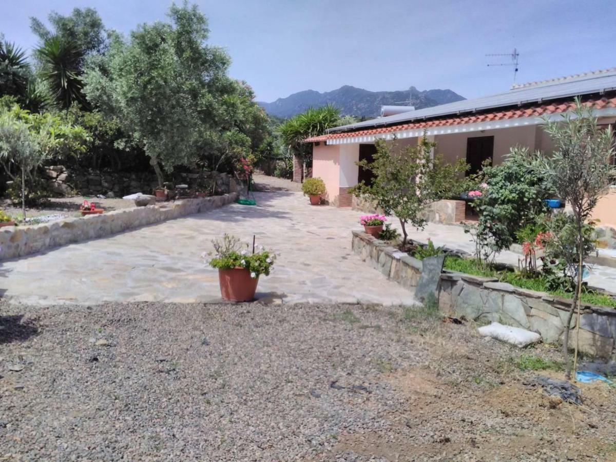 Agriturismo Camboni Annunziata (Sardinia) Exterior foto
